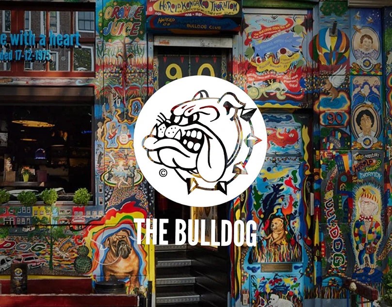Contenido para redes de The Bulldog Barcelona